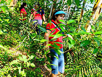 Twinkle Stars AMI Montessori Panadura, Montessori Sri Lanka, Nursery Pre school Panadura Sri Lanka, Montessori Teachers TWD program,  A.M.I. montessori in sri lanka