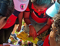Twinkle Stars AMI Montessori Panadura, Montessori Sri Lanka, Nursery Pre school Panadura Sri Lanka, Montessori Teachers TWD program,  A.M.I. montessori in sri lanka