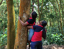 Twinkle Stars AMI Montessori Panadura, Montessori Sri Lanka, Nursery Pre school Panadura Sri Lanka, Montessori Teachers TWD program,  A.M.I. montessori in sri lanka