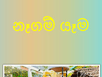 Twinkle Stars AMI Montessori Panadura, Montessori Sri Lanka, Nursery Pre school Panadura Sri Lanka, Sinhala awurudu Festival,  A.M.I. montessori in sri lanka, Early Learning and child care centre