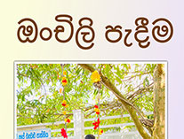 Twinkle Stars AMI Montessori Panadura, Montessori Sri Lanka, Nursery Pre school Panadura Sri Lanka, Sinhala awurudu Festival,  A.M.I. montessori in sri lanka, Early Learning and child care centre