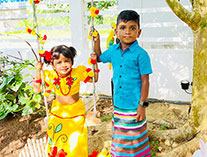 Twinkle Stars AMI Montessori Panadura, Montessori Sri Lanka, Nursery Pre school Panadura Sri Lanka, Sinhala awurudu Festival,  A.M.I. montessori in sri lanka, Early Learning and child care centre