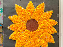 Twinkle Stars AMI Montessori Panadura, Montessori Sri Lanka, Nursery Pre school Panadura Sri Lanka, Colours Day at montessori,  A.M.I. montessori in sri lanka