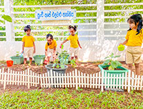 Twinkle Stars AMI Montessori Panadura, Montessori Sri Lanka, Nursery Pre school Panadura Sri Lanka, Environment Day,  A.M.I. montessori in sri lanka, Early Learning and child care centre