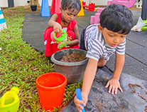 Twinkle Stars AMI Montessori Panadura, Montessori Sri Lanka, Nursery Pre school Panadura Sri Lanka, Environment Day,  A.M.I. montessori in sri lanka, Early Learning and child care centre