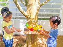 Twinkle Stars AMI Montessori Panadura, Montessori Sri Lanka, Nursery Pre school Panadura Sri Lanka, Environment Day,  A.M.I. montessori in sri lanka, Early Learning and child care centre