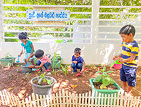 Twinkle Stars AMI Montessori Panadura, Montessori Sri Lanka, Nursery Pre school Panadura Sri Lanka, Environment Day,  A.M.I. montessori in sri lanka, Early Learning and child care centre