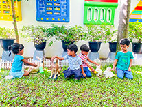 Twinkle Stars AMI Montessori Panadura, Montessori Sri Lanka, Nursery Pre school Panadura Sri Lanka, Environment Day,  A.M.I. montessori in sri lanka, Early Learning and child care centre