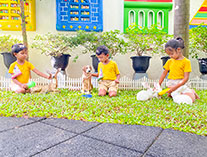 Twinkle Stars AMI Montessori Panadura, Montessori Sri Lanka, Nursery Pre school Panadura Sri Lanka, Environment Day,  A.M.I. montessori in sri lanka, Early Learning and child care centre