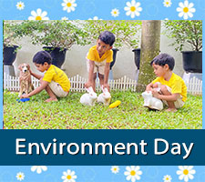 Environment day, Twinkle Stars Montessori