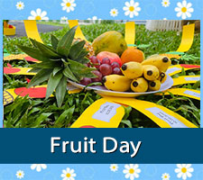 Fruit Day, Twinkle Stars Montessori