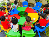 Twinkle Stars AMI Montessori Panadura, Montessori Sri Lanka, Nursery Pre school Panadura Sri Lanka, Home Science Day,  A.M.I. montessori in sri lanka, Early Learning and child care centre