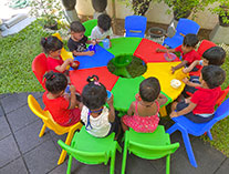 Twinkle Stars AMI Montessori Panadura, Montessori Sri Lanka, Nursery Pre school Panadura Sri Lanka, Home Science Day,  A.M.I. montessori in sri lanka, Early Learning and child care centre