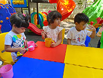 Twinkle Stars AMI Montessori Panadura, Montessori Sri Lanka, Nursery Pre school Panadura Sri Lanka, Home Science Day,  A.M.I. montessori in sri lanka, Early Learning and child care centre