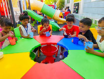 Twinkle Stars AMI Montessori Panadura, Montessori Sri Lanka, Nursery Pre school Panadura Sri Lanka, Home Science Day,  A.M.I. montessori in sri lanka, Early Learning and child care centre