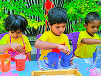 Twinkle Stars AMI Montessori Panadura, Montessori Sri Lanka, Nursery Pre school Panadura Sri Lanka, How to make a lime juice at montessori,  A.M.I. montessori in sri lanka