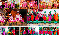 Twinkle Stars AMI Montessori Panadura, Montessori Sri Lanka, Nursery Pre school Panadura Sri Lanka, Nursery Concert Panadura Sri Lanka, Kindergarten concert, Play Group concert Panadura Sri Lanka, Pre School concert, Panadura Sri Lanka