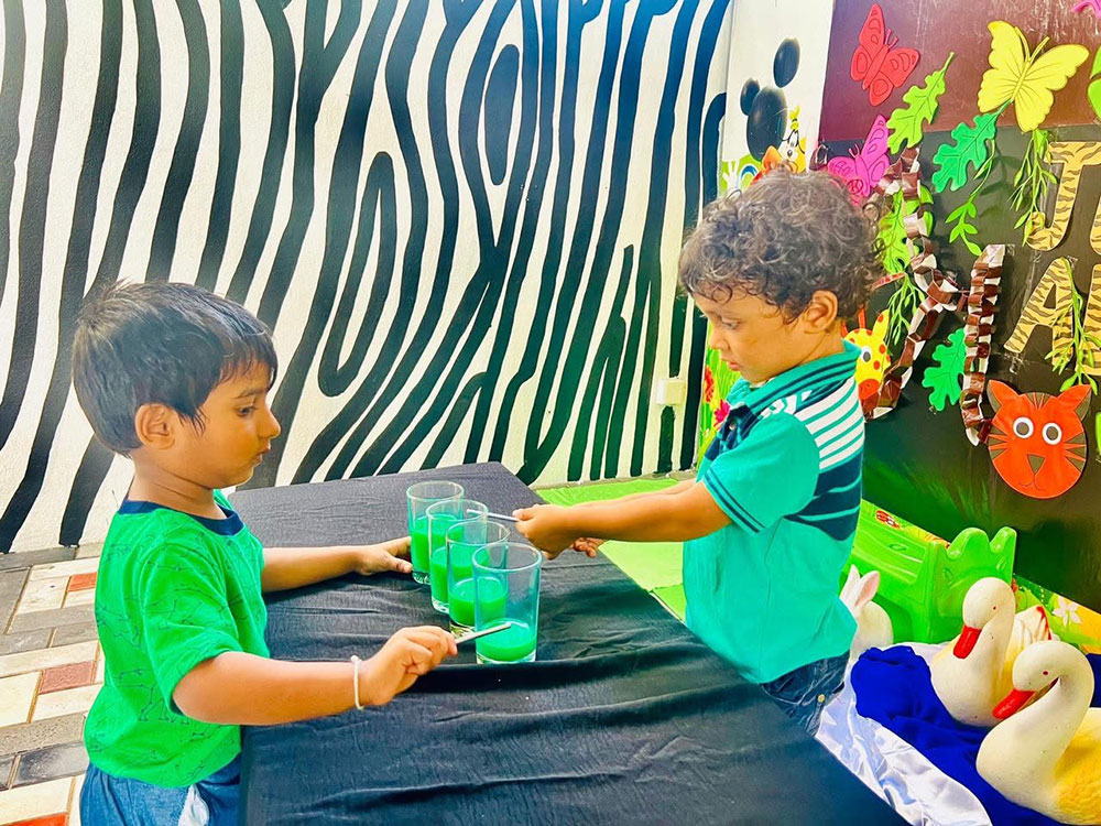 Twinkle Stars AMI Montessori Panadura, Montessori Sri Lanka, Nursery Pre school Panadura Sri Lanka, Green Day in Montessori, nursery and Kindergarten activities, A.M.I. montessori in sri lanka, Early Learning and child care centre