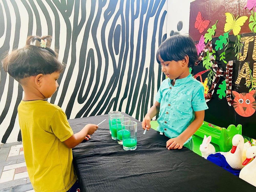 Twinkle Stars AMI Montessori Panadura, Montessori Sri Lanka, Nursery Pre school Panadura Sri Lanka, Green Day in Montessori, nursery and Kindergarten activities, A.M.I. montessori in sri lanka, Early Learning and child care centre