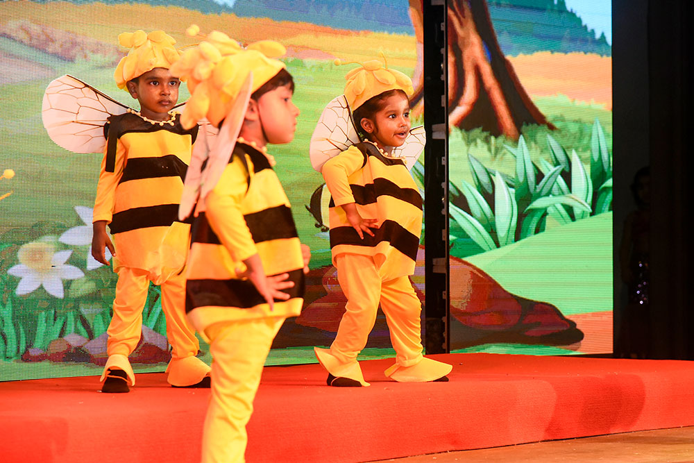 Twinkle Stars AMI Montessori Panadura, Montessori Sri Lanka, Nursery Pre school Panadura Sri Lanka, concert Montessori, nursery and Kindergarten activities, A.M.I. montessori in sri lanka, Early Learning and child care centre