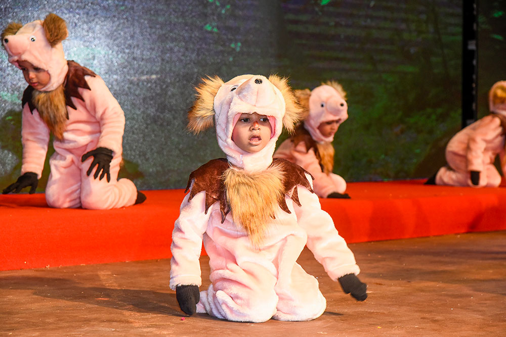 Twinkle Stars AMI Montessori Panadura, Montessori Sri Lanka, Nursery Pre school Panadura Sri Lanka, concert Montessori, nursery and Kindergarten activities, A.M.I. montessori in sri lanka, Early Learning and child care centre