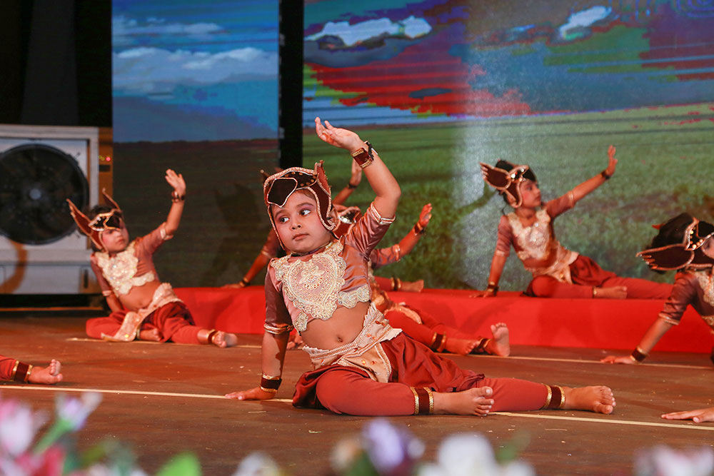 Twinkle Stars AMI Montessori Panadura, Montessori Sri Lanka, Nursery Pre school Panadura Sri Lanka, Graduation in Montessori, nursery and Kindergarten activities, A.M.I. montessori in sri lanka, Early Learning and child care centre