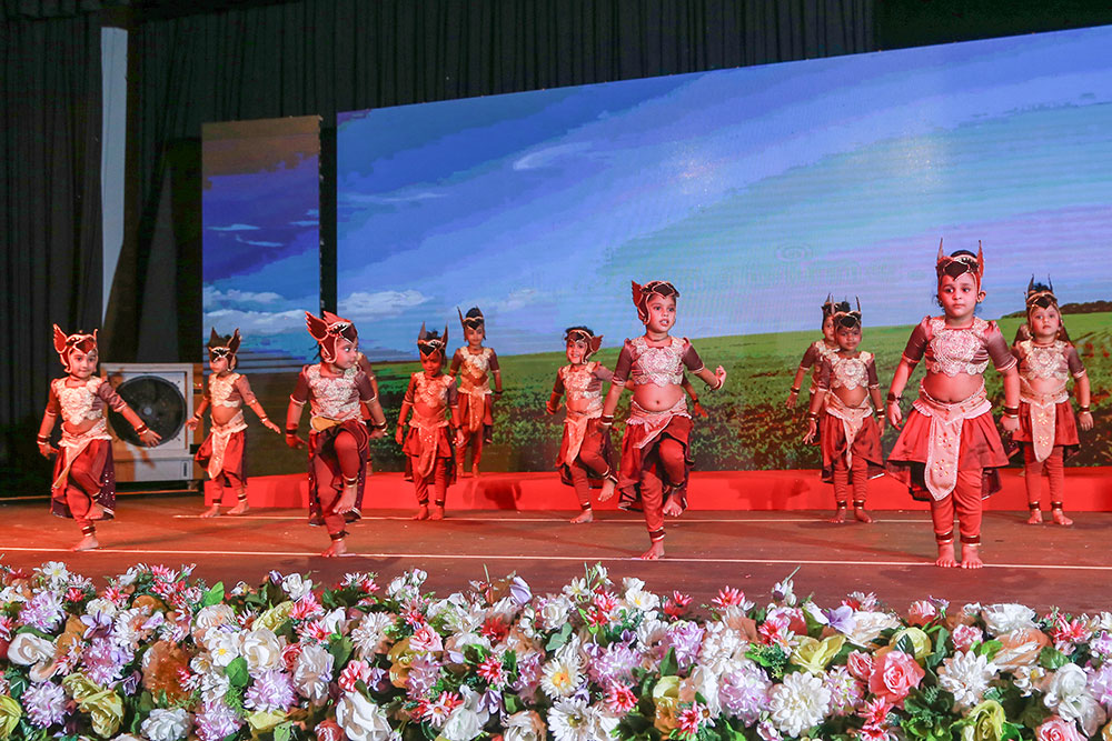 Twinkle Stars AMI Montessori Panadura, Montessori Sri Lanka, Nursery Pre school Panadura Sri Lanka, Graduation in Montessori, nursery and Kindergarten activities, A.M.I. montessori in sri lanka, Early Learning and child care centre