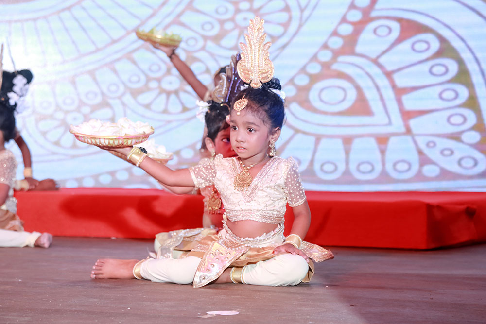 Twinkle Stars AMI Montessori Panadura, Montessori Sri Lanka, Nursery Pre school Panadura Sri Lanka, Graduation in Montessori, nursery and Kindergarten activities, A.M.I. montessori in sri lanka, Early Learning and child care centre